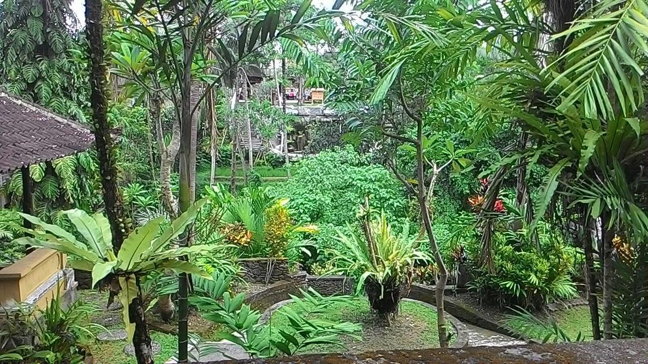 Sari Wangi Cottage Ubud Zewnętrze zdjęcie